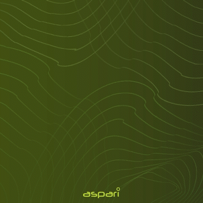 Різдвяне привітання від ASPARI